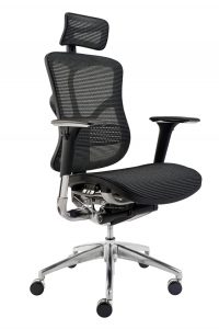 Ergonomic mesh chair