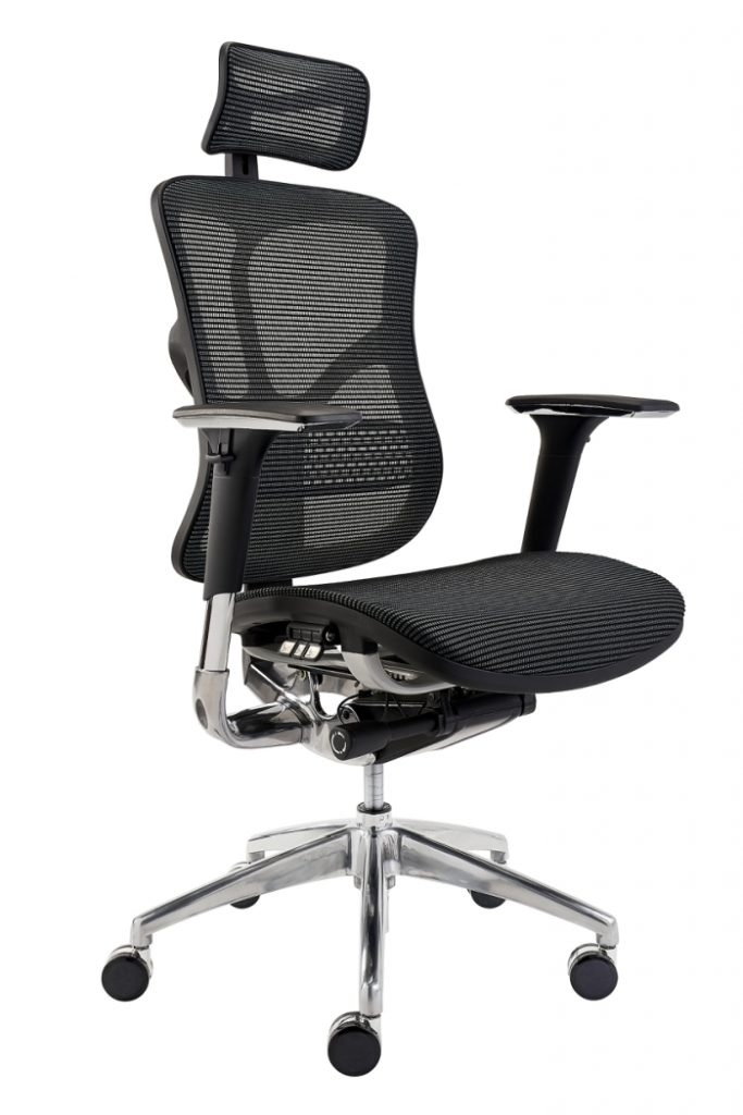 Ergonomic mesh chair